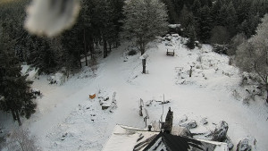 Kleť, Šumavské podhůří - Kleť - 7.1.2026 v 08:45 Kleť, Šumavské podhůří - Kleť - 7.1.2026 v 08:45