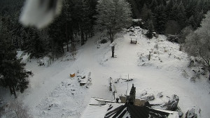 Kleť, Šumavské podhůří - Kleť - 7.1.2026 v 10:45 Kleť, Šumavské podhůří - Kleť - 7.1.2026 v 10:45