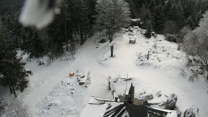 Kleť, Šumavské podhůří - Kleť - 7.1.2026 v 11:00 Kleť, Šumavské podhůří - Kleť - 7.1.2026 v 11:00