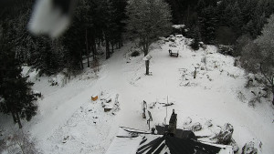 Kleť, Šumavské podhůří - Kleť - 7.1.2026 v 14:30 Kleť, Šumavské podhůří - Kleť - 7.1.2026 v 14:30