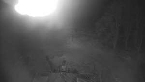 Kleť, Šumavské podhůří - Kleť - 26.1.2026 v 01:30 Kleť, Šumavské podhůří - Kleť - 26.1.2026 v 01:30