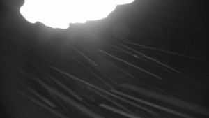 Kleť, Šumavské podhůří - Kleť - 26.1.2026 v 18:00 Kleť, Šumavské podhůří - Kleť - 26.1.2026 v 18:00