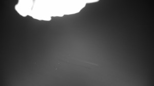 Kleť, Šumavské podhůří - Kleť - 26.1.2026 v 19:15 Kleť, Šumavské podhůří - Kleť - 26.1.2026 v 19:15