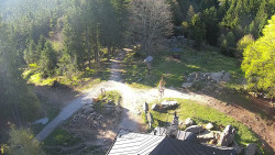 Kleť