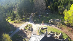 Kleť