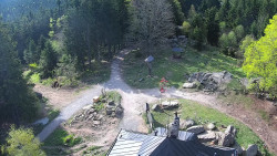 Kleť