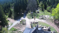 Kleť