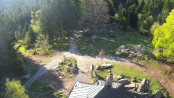 Kleť