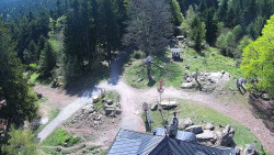 Kleť