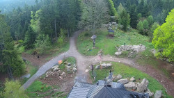 Kleť