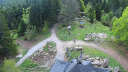 Kleť