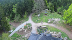 Kleť