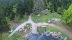 Kleť