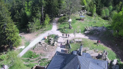 Kleť