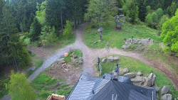 Kleť