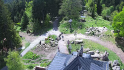 Kleť