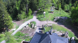 Kleť