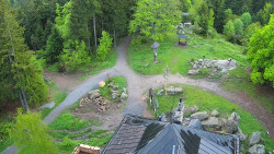 Kleť