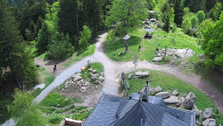Kleť