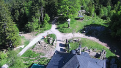 Kleť