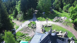 Kleť