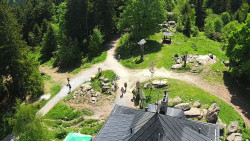 Kleť