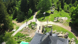 Kleť