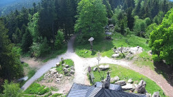Kleť