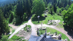 Kleť