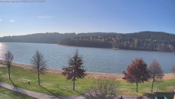 Snímek 8.11.2025 v 11:15