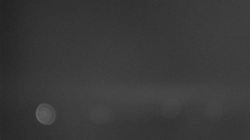 Snímek    30.10.2025 v 02:32