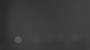 Snímek    30.10.2025 v 05:02