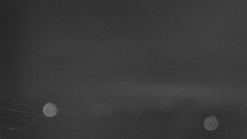 Snímek    4.11.2025 v 05:32