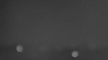 Snímek 7.11.2025 v 20:02