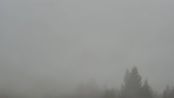 Snímek 9.11.2025 v 14:32