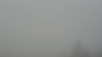 Snímek 14.11.2025 v 08:02