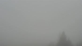 Snímek 17.11.2025 v 12:32