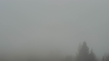 Snímek 17.11.2025 v 15:32