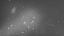 Troják, Maruška - panorama