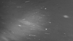 Troják, Maruška - panorama