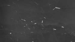 Troják, Maruška - panorama