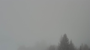 Skiareál Troják - Troják, Maruška - panorama - 13.1.2026 v 15:02 Skiareál Troják - Troják, Maruška - panorama - 13.1.2026 v 15:02