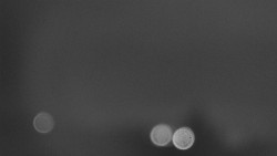 Troják, Maruška - panorama