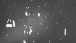 Troják, Maruška - panorama