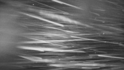 Troják, Maruška - panorama