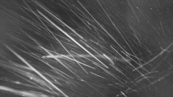 Troják, Maruška - panorama