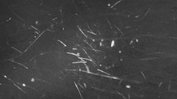 Troják, Maruška - panorama