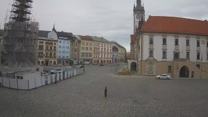Město Olomouc - Horní náměstí - 10.6.2026 v 08:00 Město Olomouc - Horní náměstí - 10.6.2026 v 08:00
