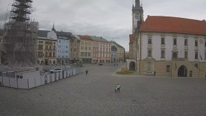 Město Olomouc - Horní náměstí - 10.6.2026 v 09:45 Město Olomouc - Horní náměstí - 10.6.2026 v 09:45