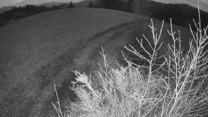 Bludný - Rajnochovice Troják - Bludný - Rajnochovice Troják - 1.3.2024 v 18:00 Bludný - Rajnochovice Troják - Bludný - Rajnochovice Troják - 1.3.2024 v 18:00